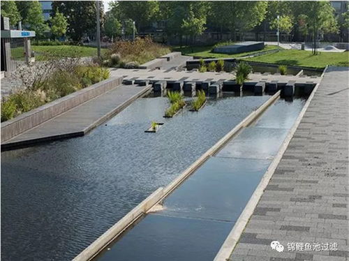 奧利仕大型魚池過濾器 奧利仕 在線咨詢 內(nèi)蒙古魚池過濾器