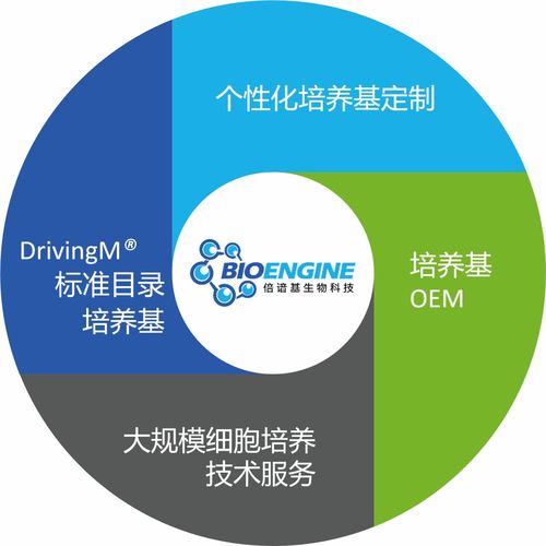 三十年匠心打造細胞培養(yǎng)新動力 寫意會員倍諳基生物的生物基材料技術研發(fā)