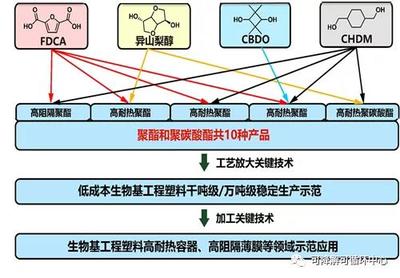 中科院寧波所生物基高分子團隊獲批國家重點研發計劃項目，推動生物基材料技術研發