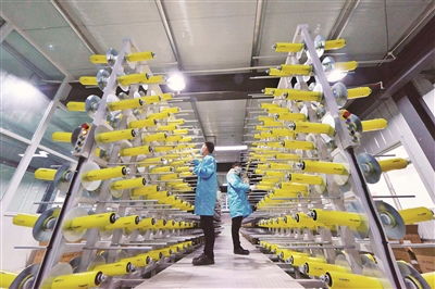 加速生物基材料技術研發與產業化，引領綠色新材料革命