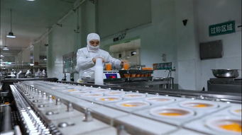 果秀食品 以生物基材料技術研發為引擎，開啟創新轉型新征程，再鑄“新果秀”輝煌