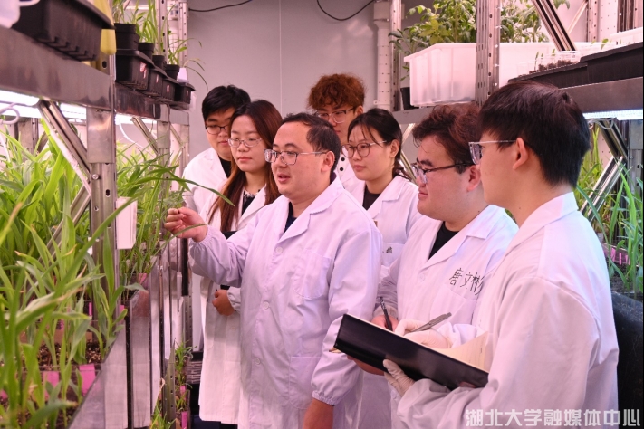 突破生物基材料新紀(jì)元 湖北大學(xué)獲國(guó)家重點(diǎn)研發(fā)計(jì)劃2386萬元資助